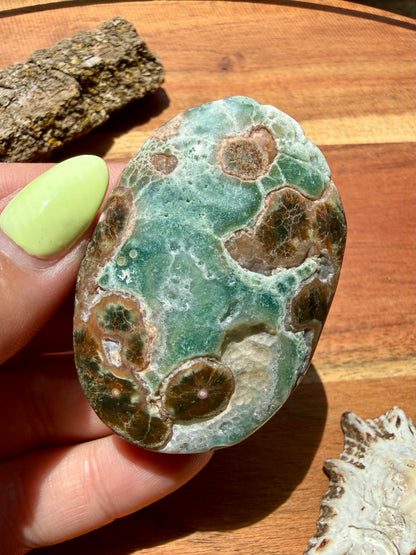 OLD STOCK OCEAN JASPER PALM STONE