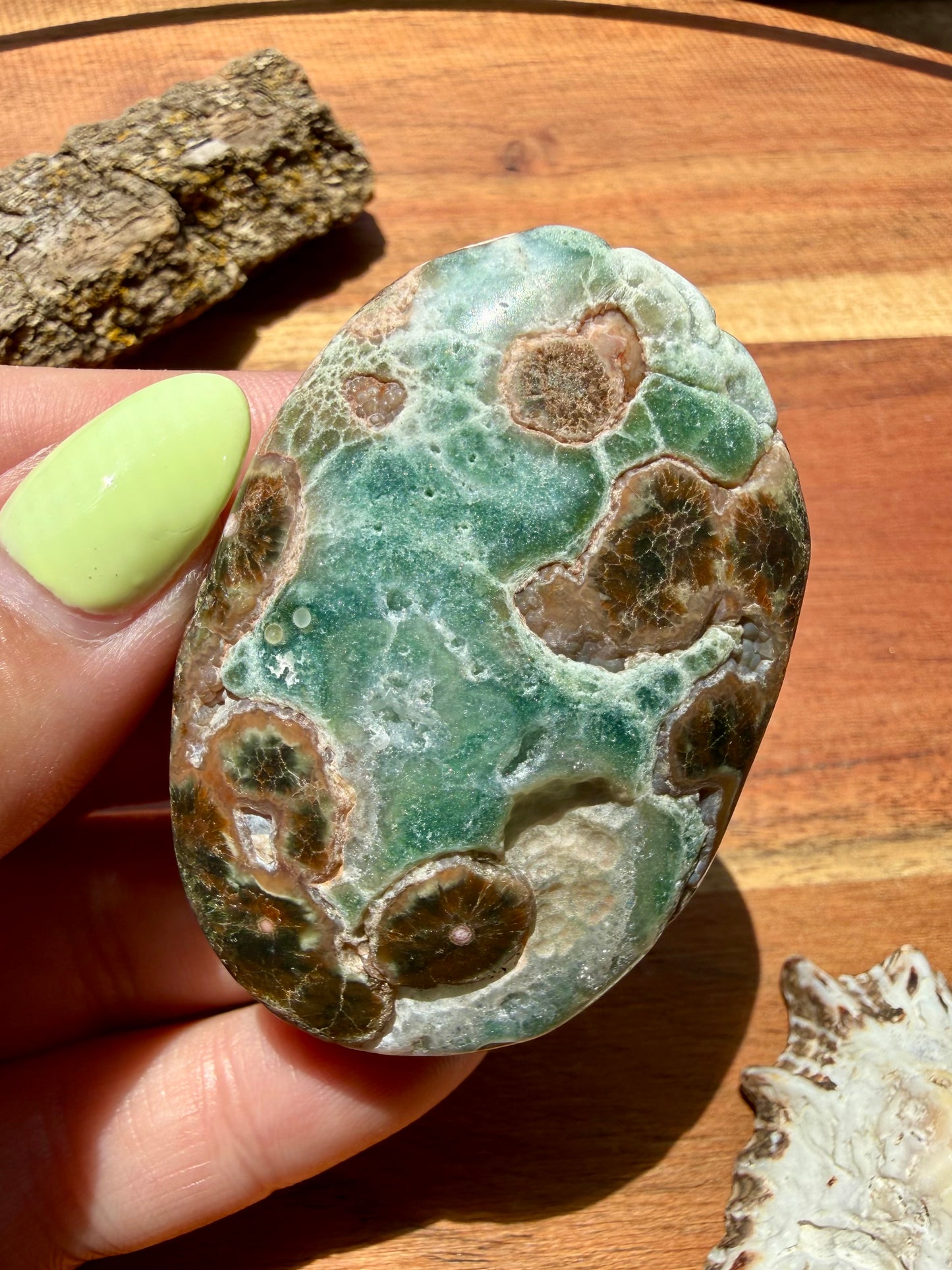 OLD STOCK OCEAN JASPER PALM STONE