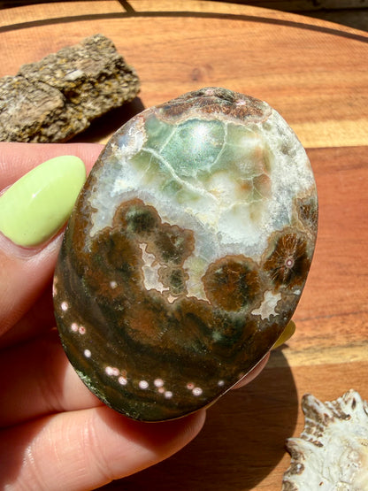 OLD STOCK OCEAN JASPER PALM STONE