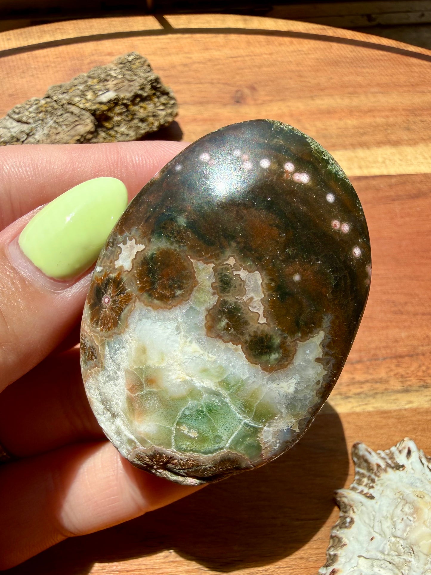 OLD STOCK OCEAN JASPER PALM STONE