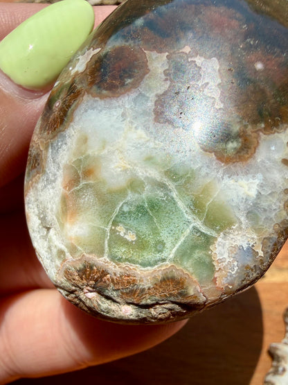 OLD STOCK OCEAN JASPER PALM STONE