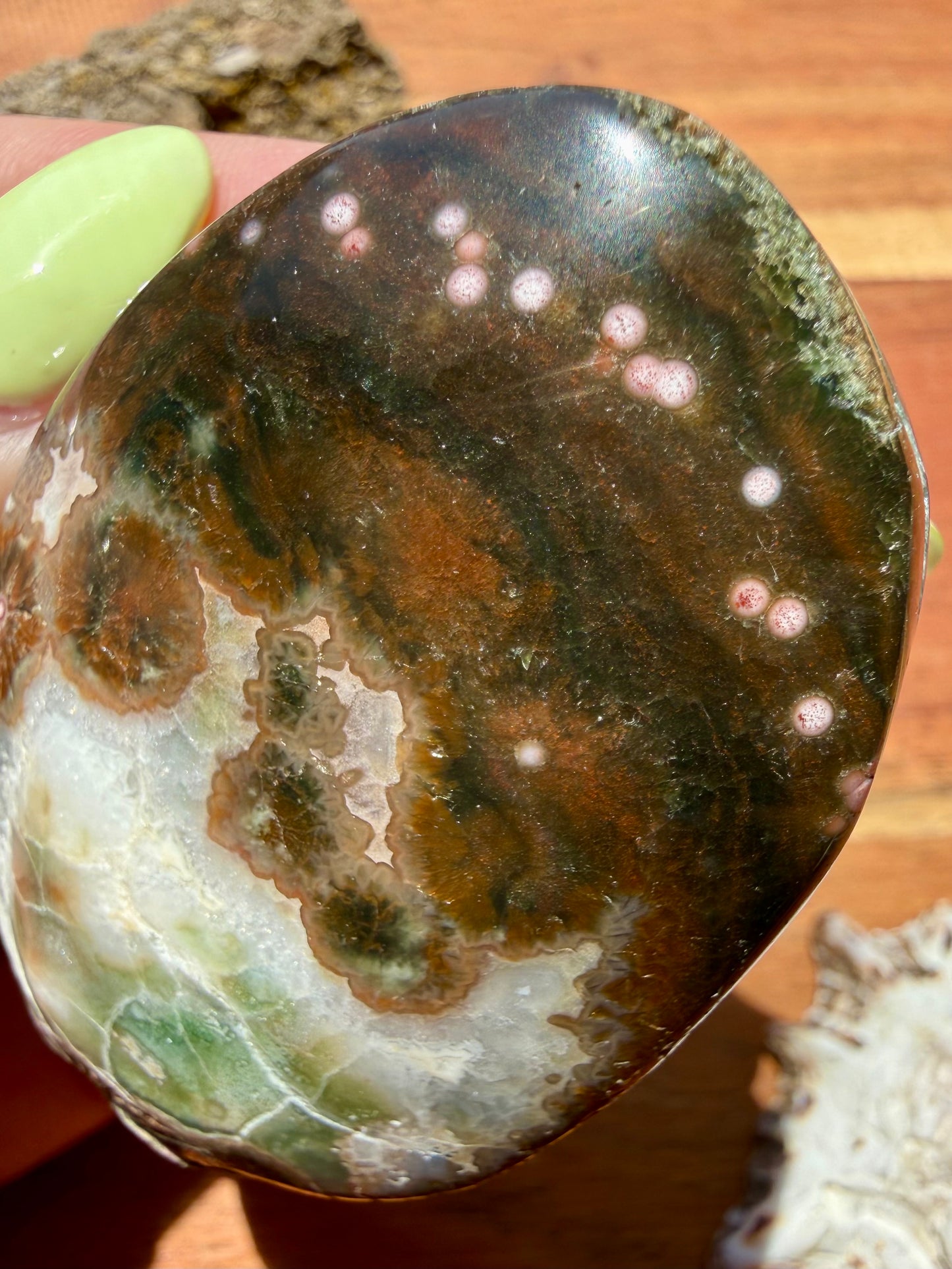 OLD STOCK OCEAN JASPER PALM STONE