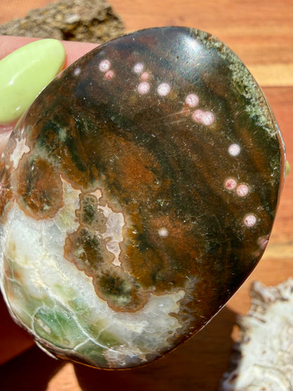 OLD STOCK OCEAN JASPER PALM STONE