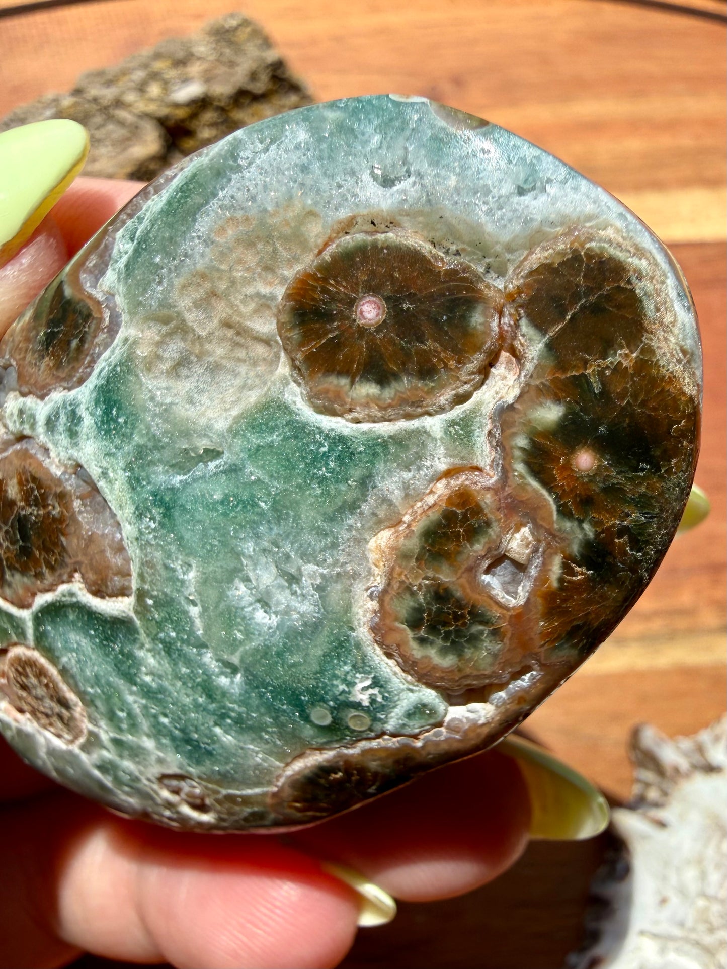 OLD STOCK OCEAN JASPER PALM STONE