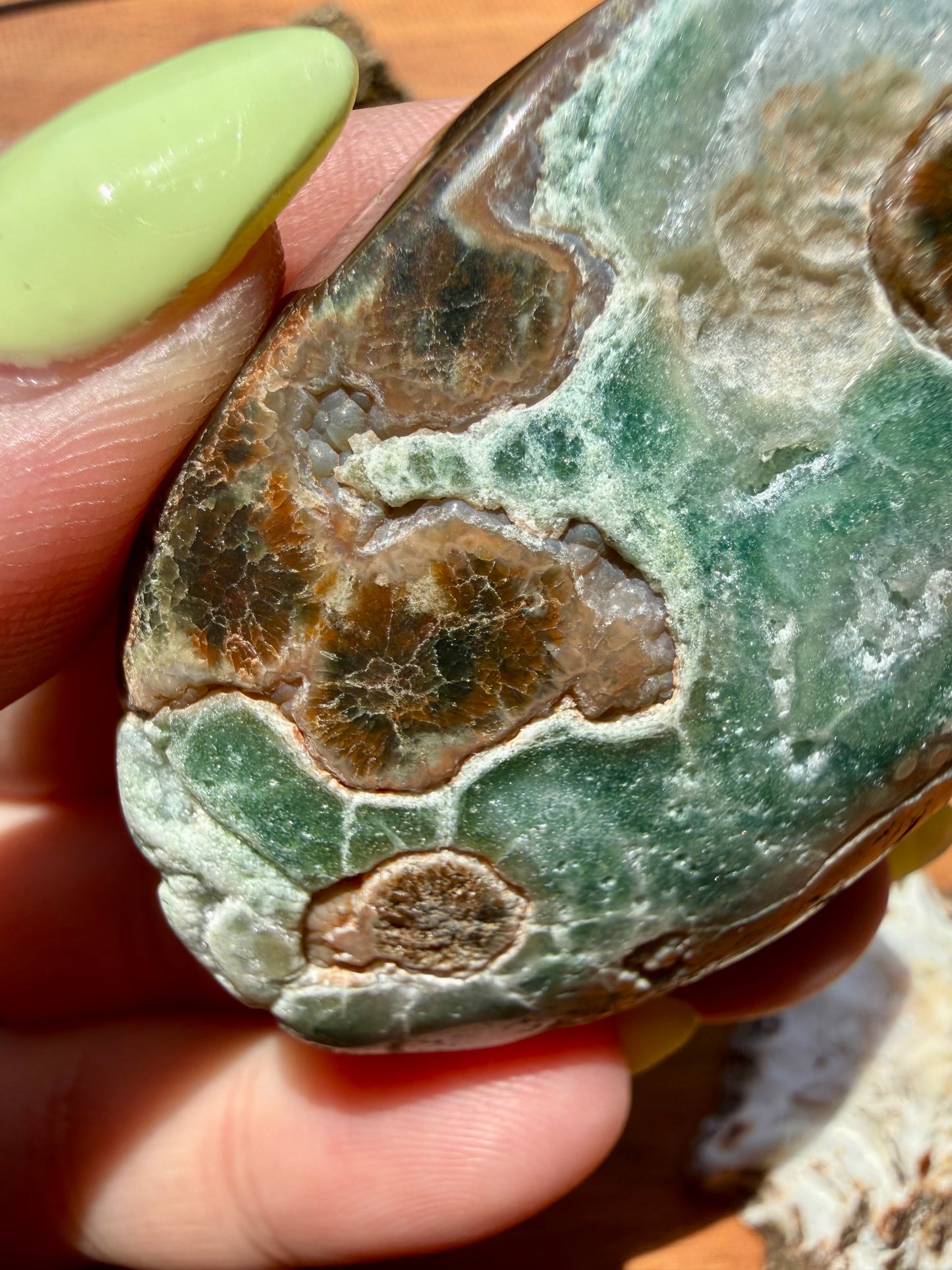 OLD STOCK OCEAN JASPER PALM STONE