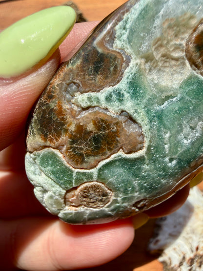 OLD STOCK OCEAN JASPER PALM STONE