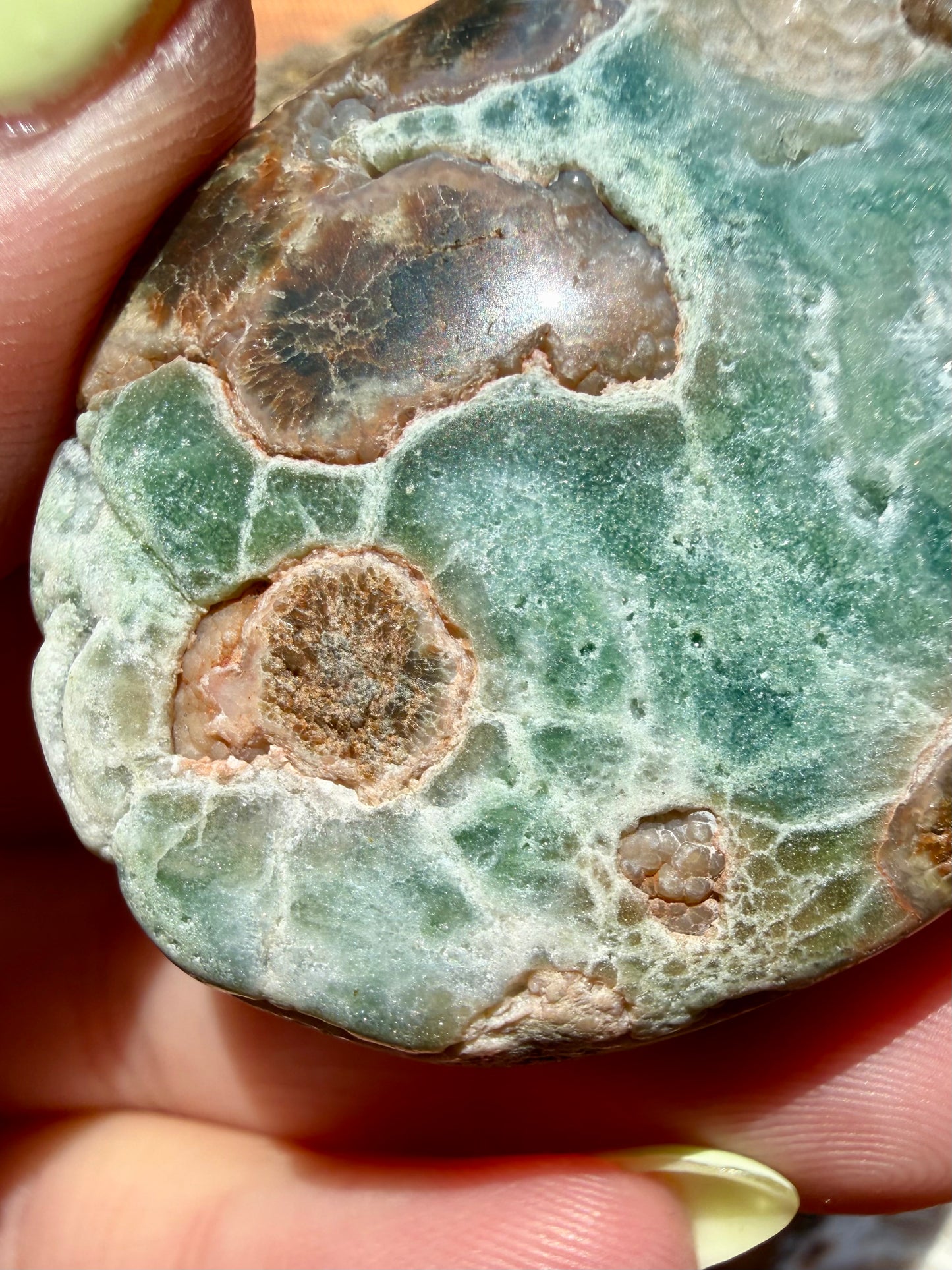 OLD STOCK OCEAN JASPER PALM STONE