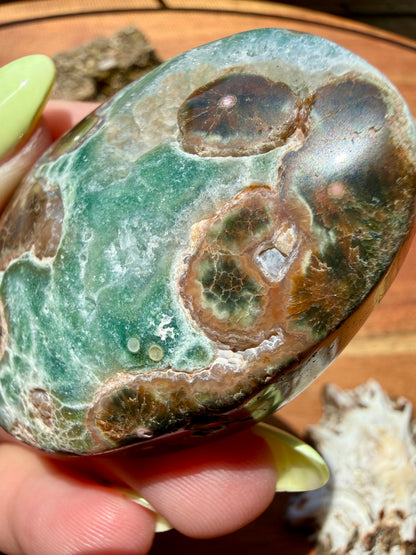 OLD STOCK OCEAN JASPER PALM STONE