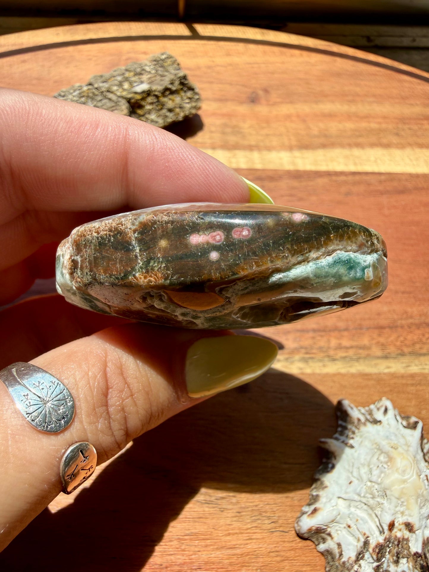 OLD STOCK OCEAN JASPER PALM STONE