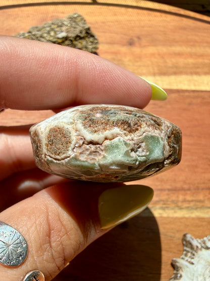 OLD STOCK OCEAN JASPER PALM STONE