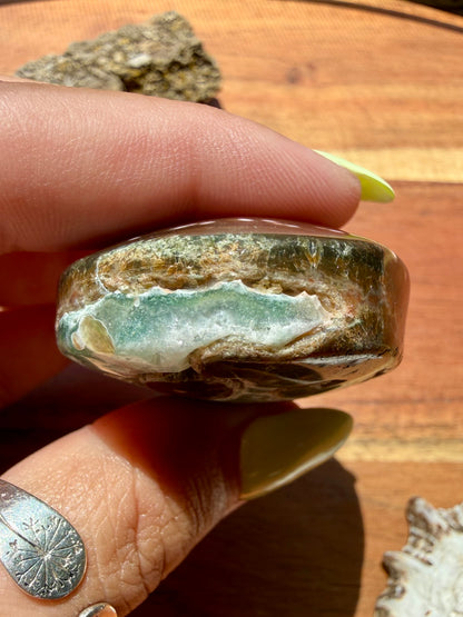OLD STOCK OCEAN JASPER PALM STONE