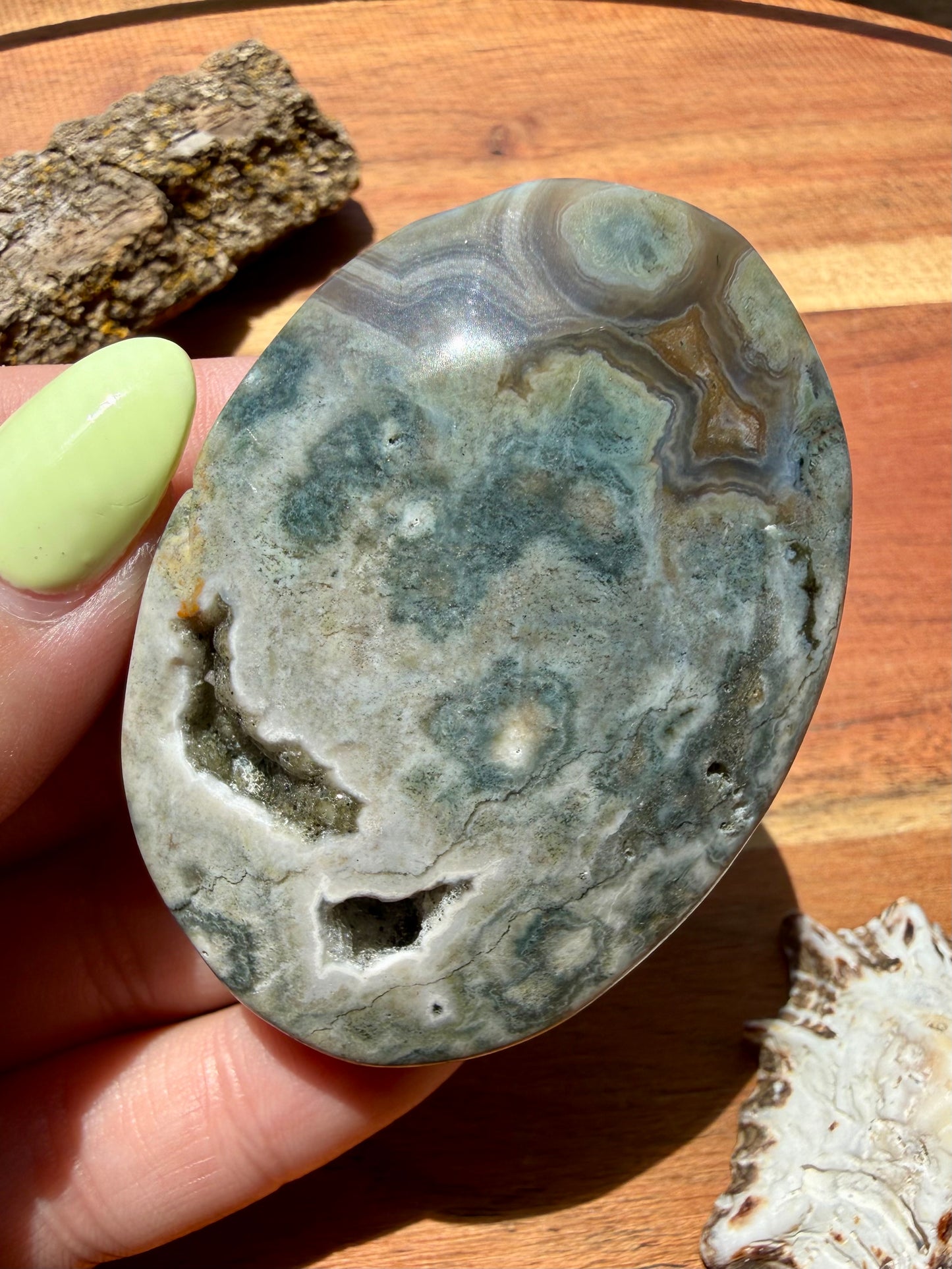 OLD STOCK OCEAN JASPER PALM STONE