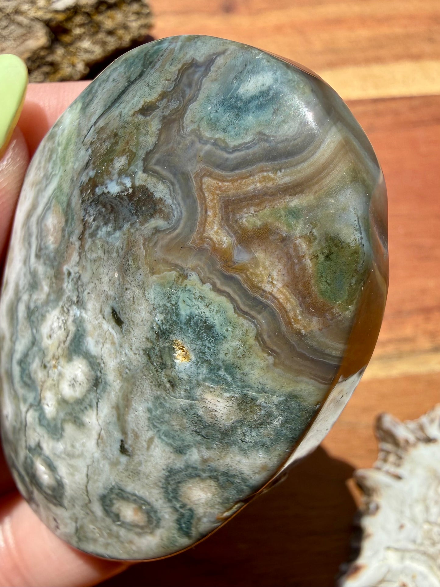OLD STOCK OCEAN JASPER PALM STONE