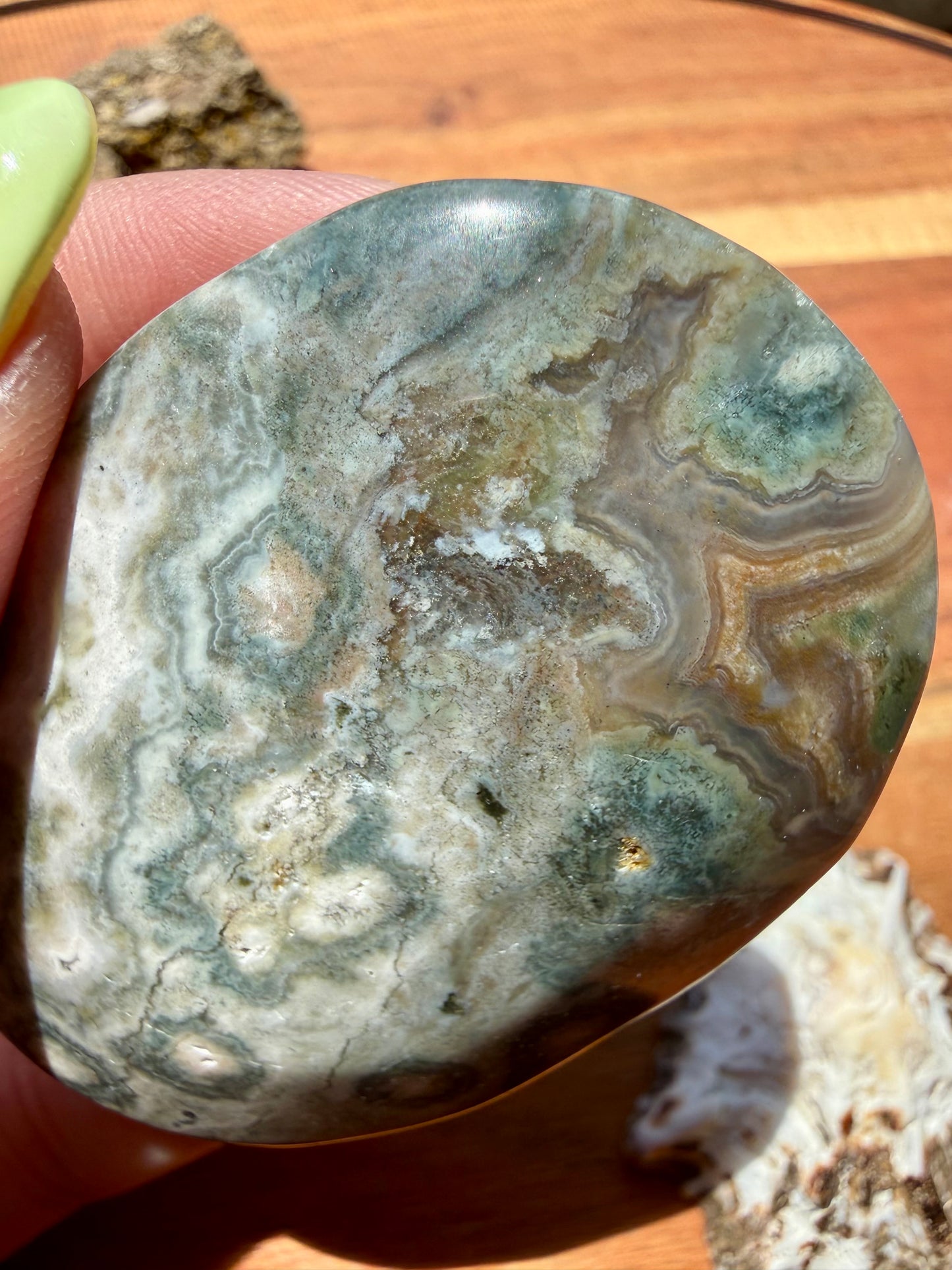 OLD STOCK OCEAN JASPER PALM STONE