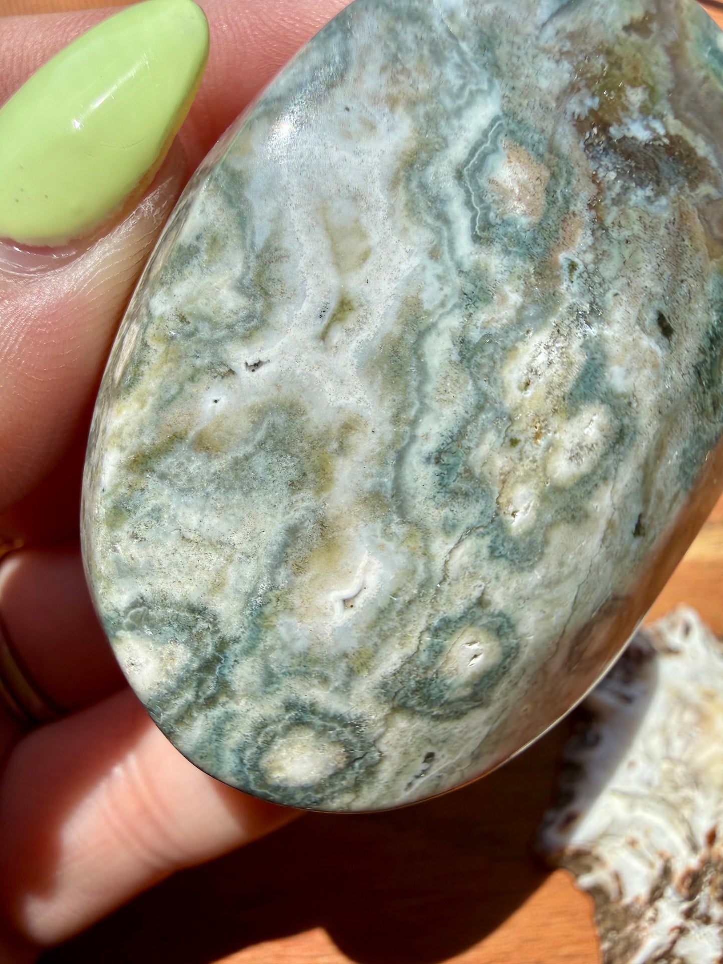 OLD STOCK OCEAN JASPER PALM STONE