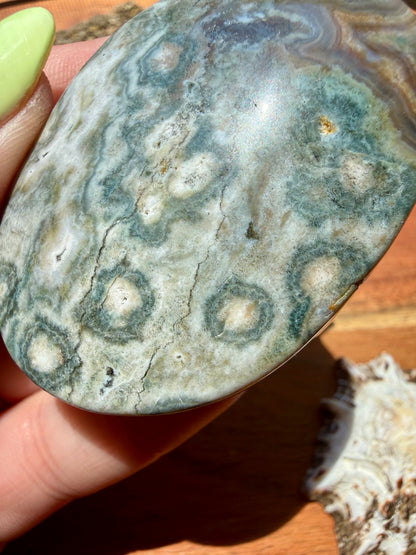 OLD STOCK OCEAN JASPER PALM STONE
