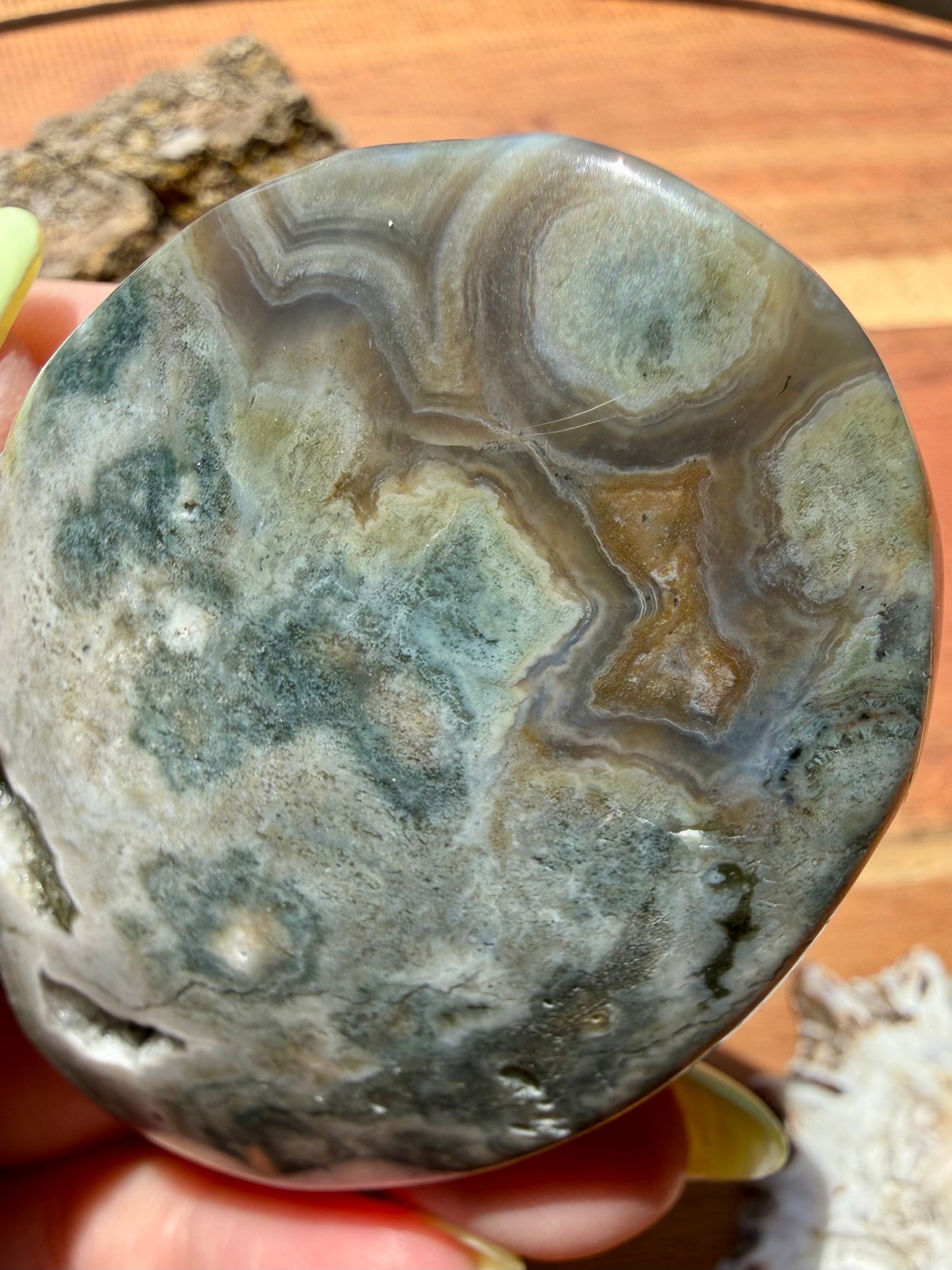 OLD STOCK OCEAN JASPER PALM STONE