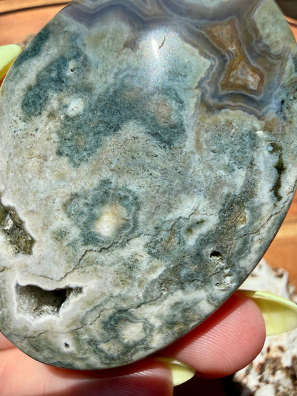 OLD STOCK OCEAN JASPER PALM STONE