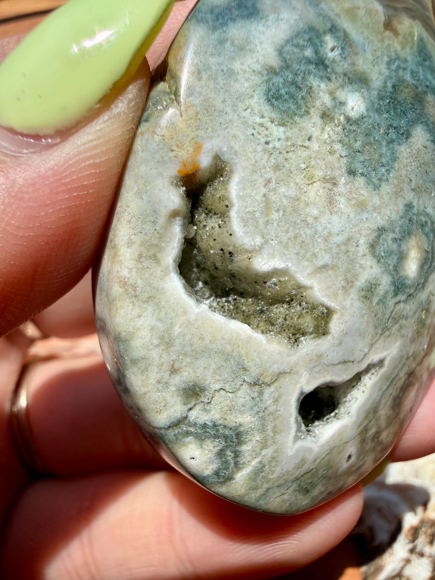 OLD STOCK OCEAN JASPER PALM STONE
