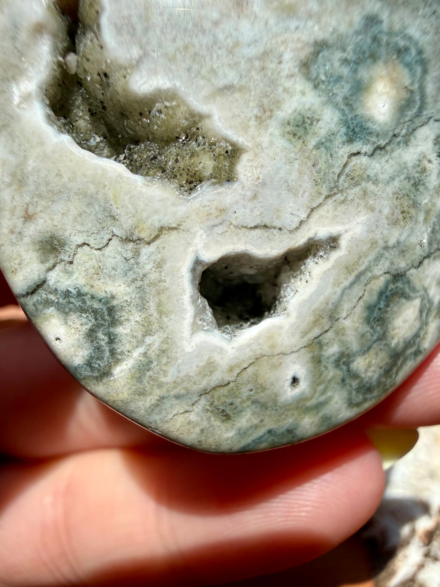 OLD STOCK OCEAN JASPER PALM STONE