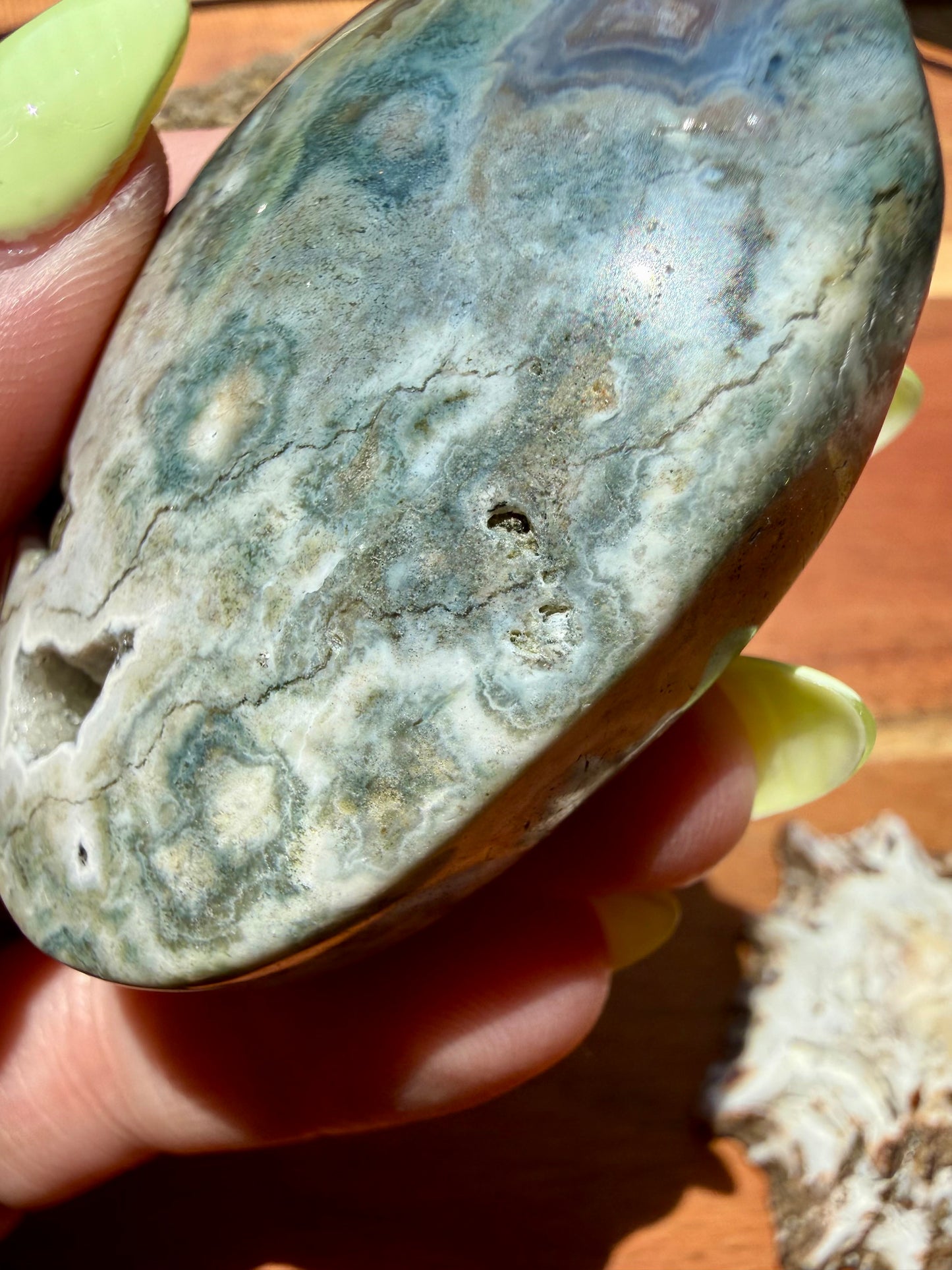 OLD STOCK OCEAN JASPER PALM STONE
