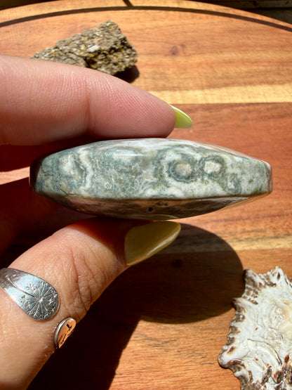 OLD STOCK OCEAN JASPER PALM STONE