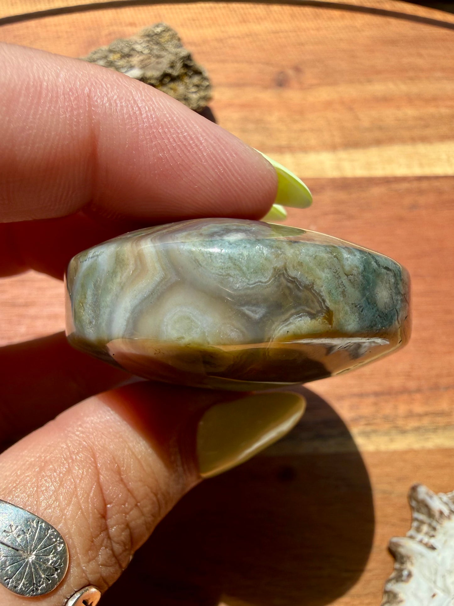 OLD STOCK OCEAN JASPER PALM STONE