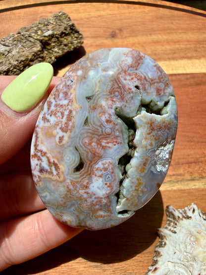 OLD STOCK OCEAN JASPER PALM STONE