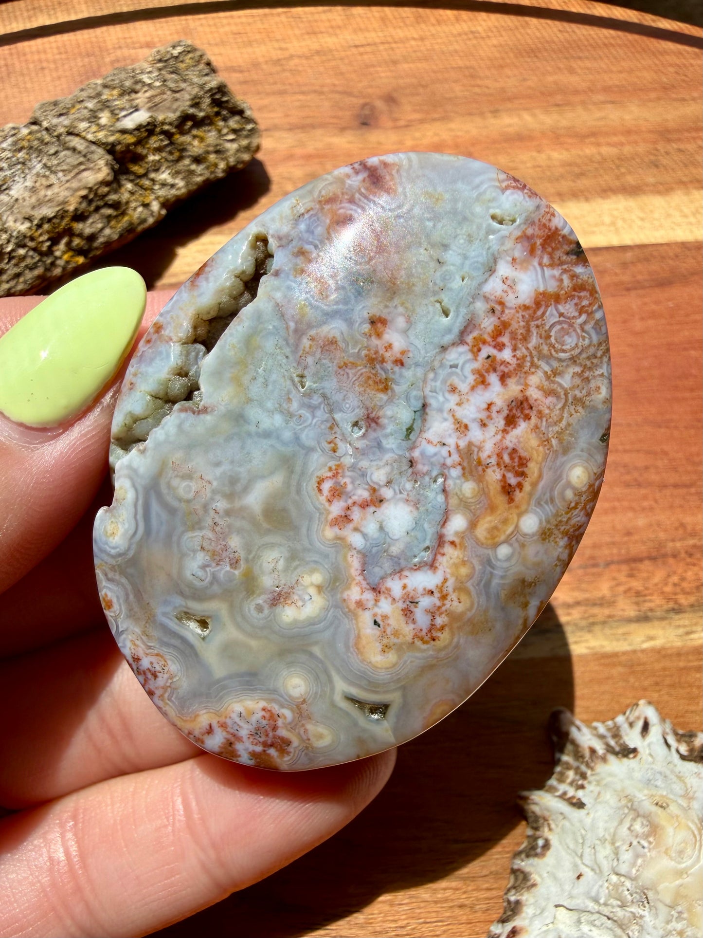 OLD STOCK OCEAN JASPER PALM STONE