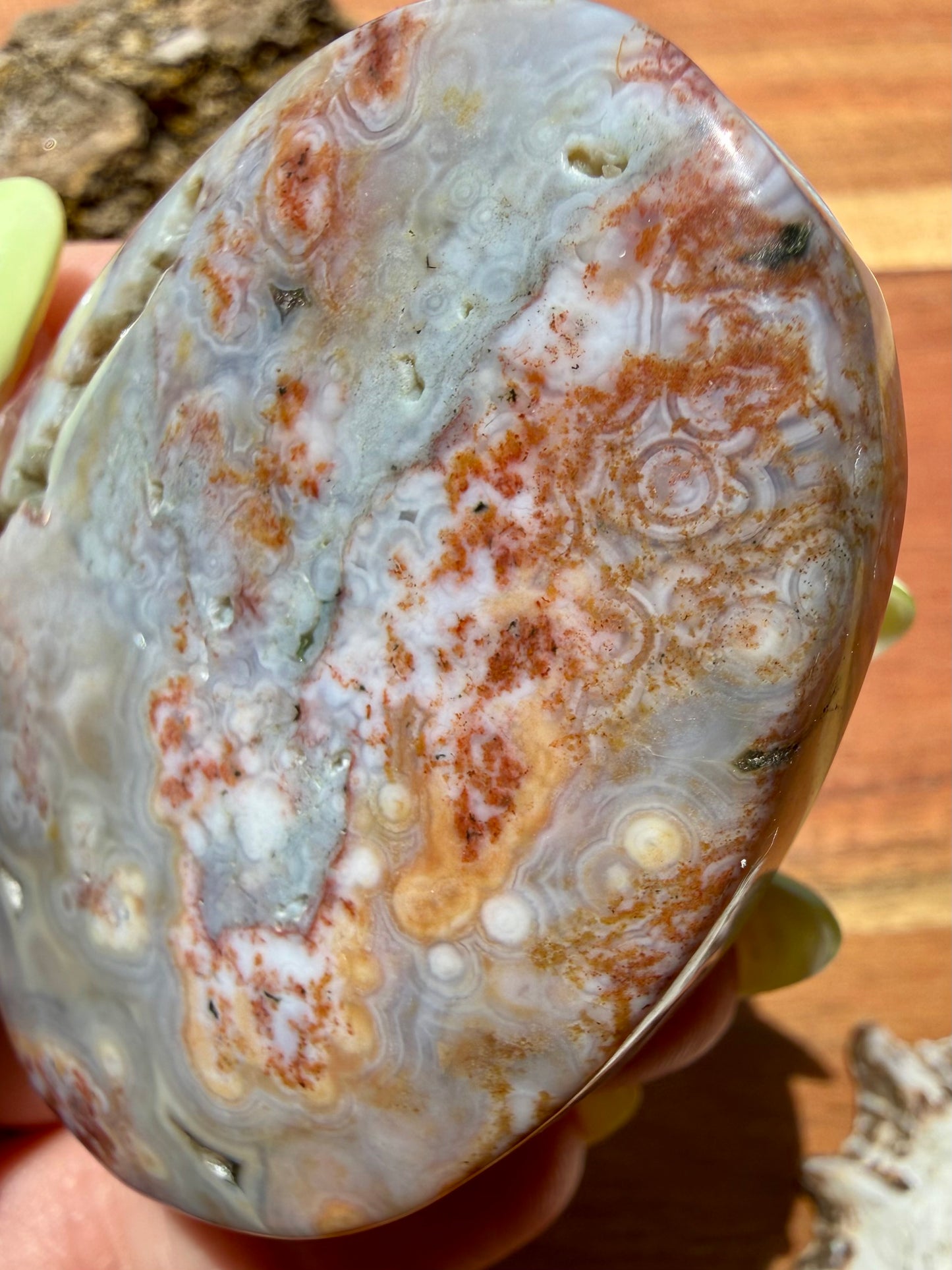 OLD STOCK OCEAN JASPER PALM STONE
