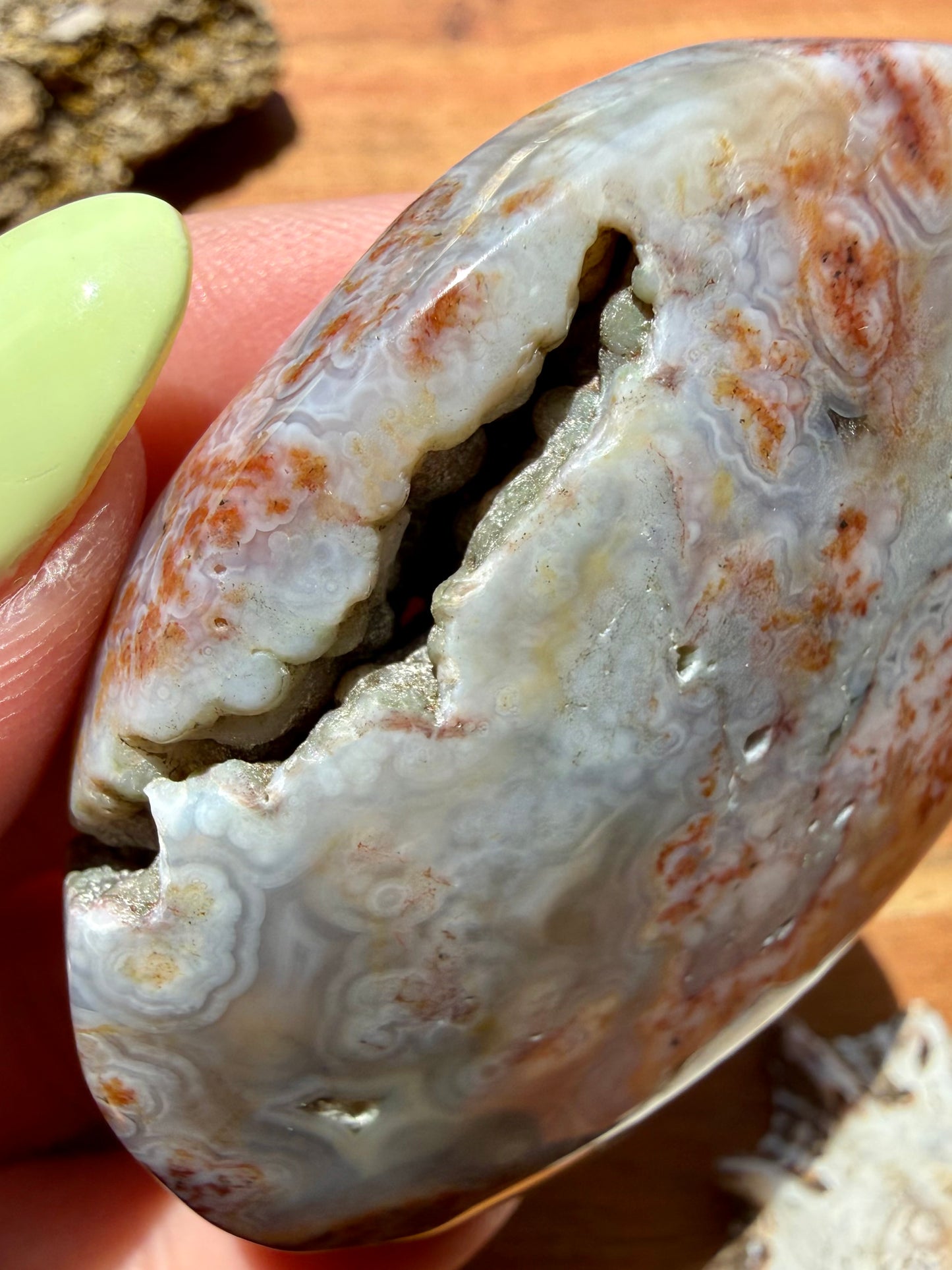 OLD STOCK OCEAN JASPER PALM STONE