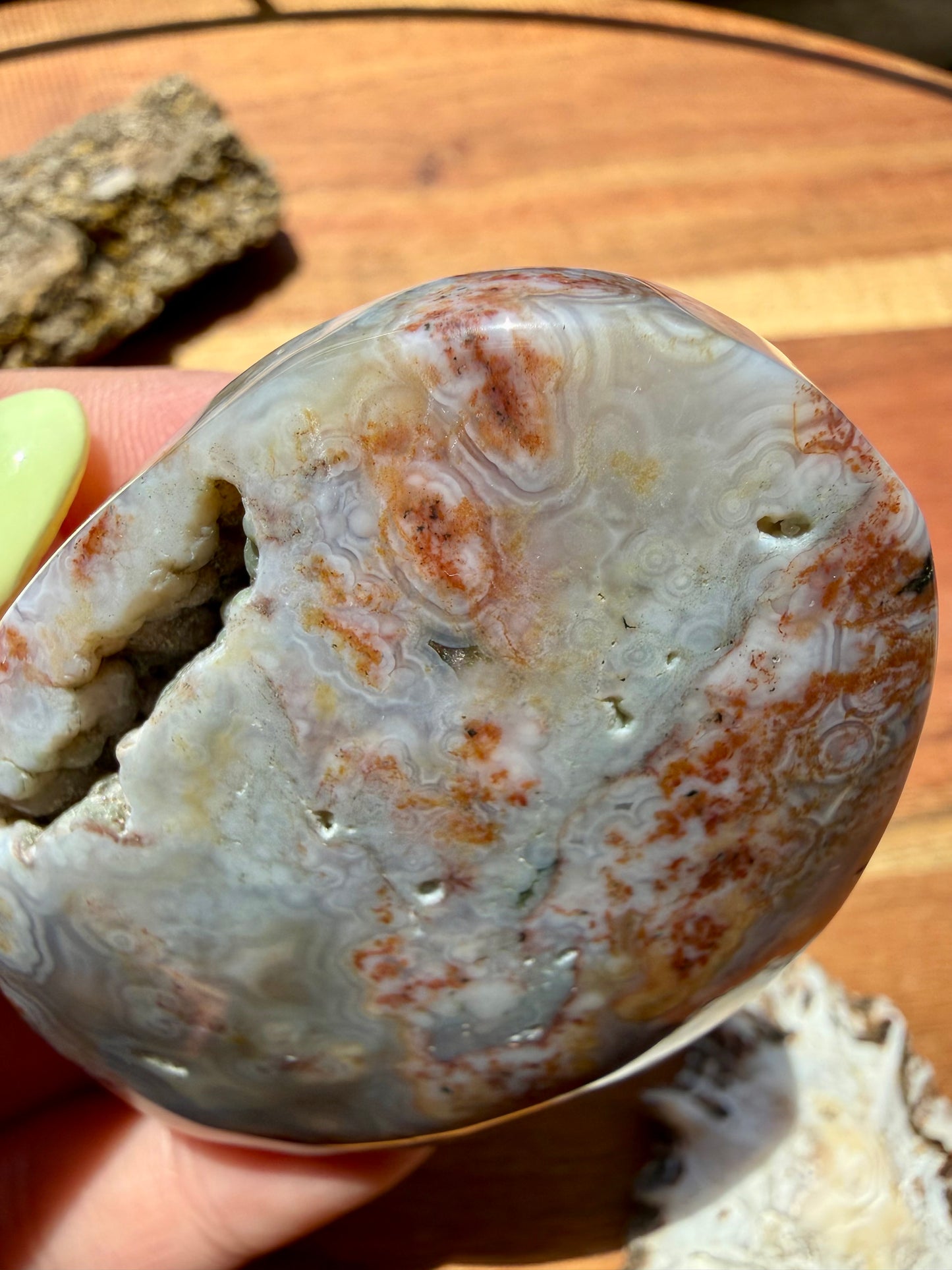 OLD STOCK OCEAN JASPER PALM STONE