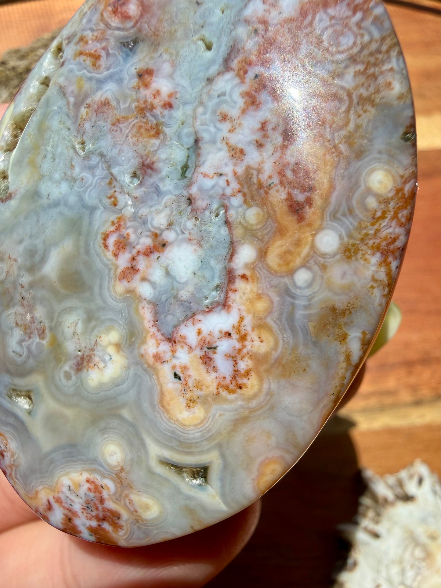 OLD STOCK OCEAN JASPER PALM STONE