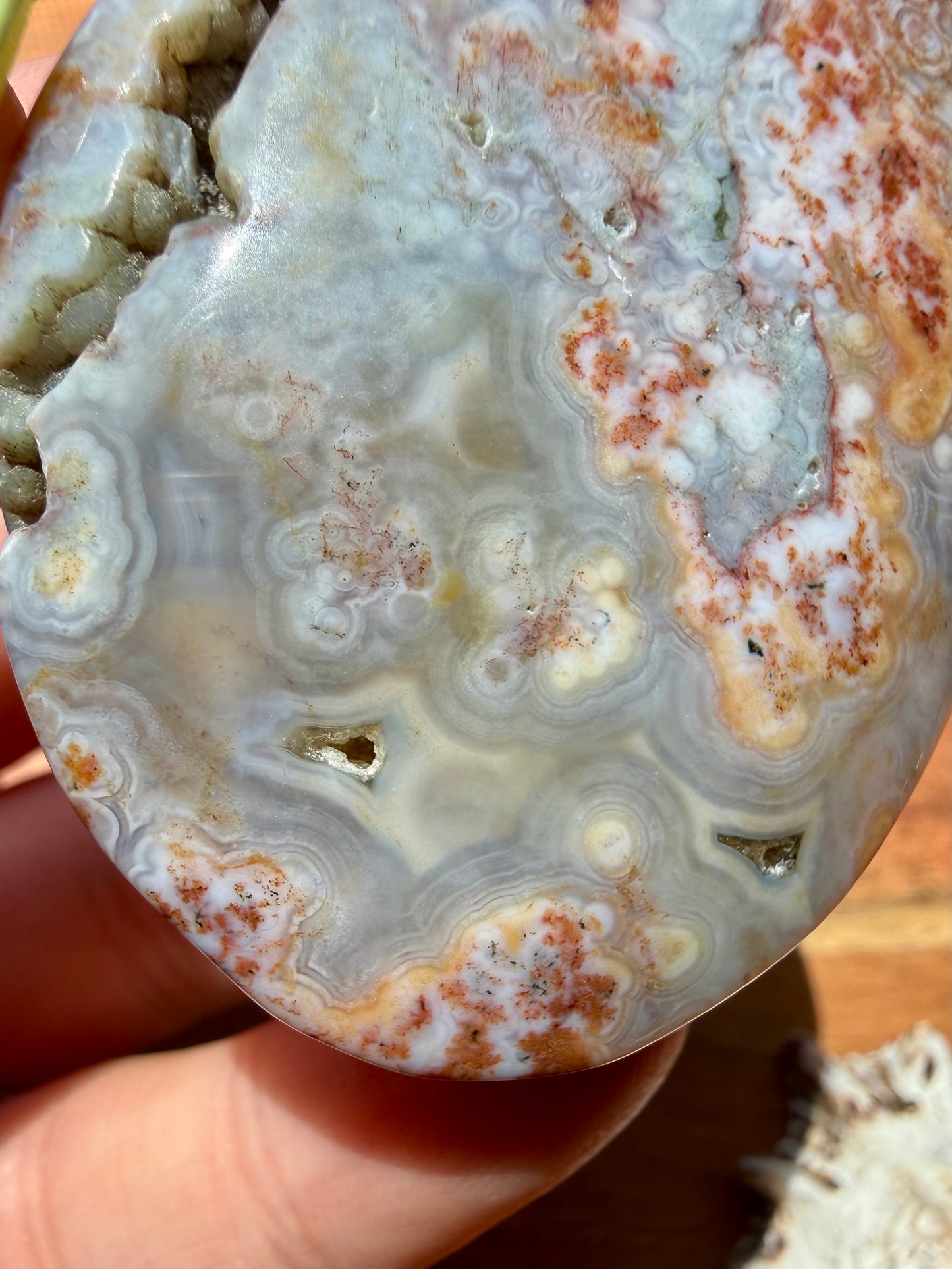 OLD STOCK OCEAN JASPER PALM STONE