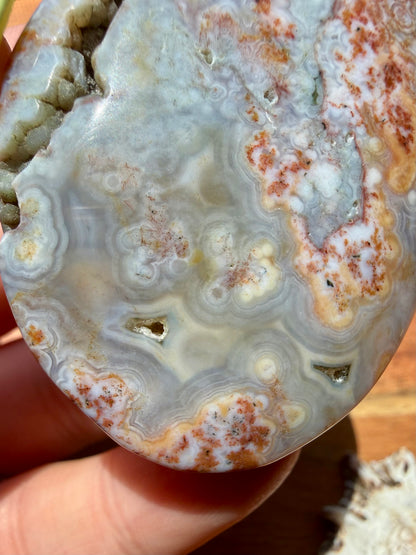 OLD STOCK OCEAN JASPER PALM STONE