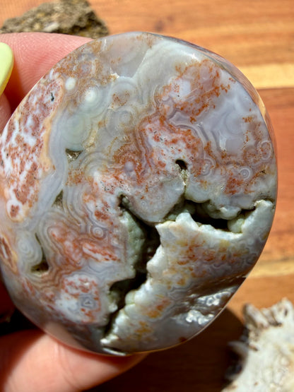 OLD STOCK OCEAN JASPER PALM STONE