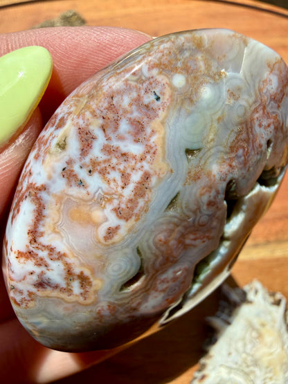 OLD STOCK OCEAN JASPER PALM STONE