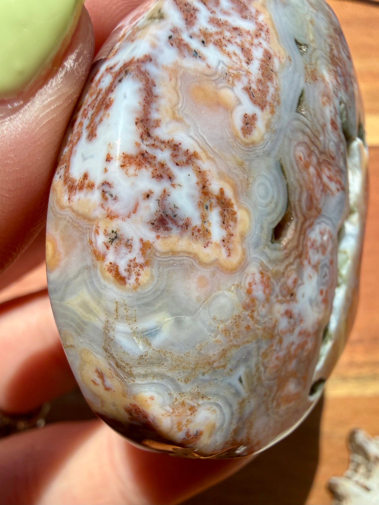 OLD STOCK OCEAN JASPER PALM STONE