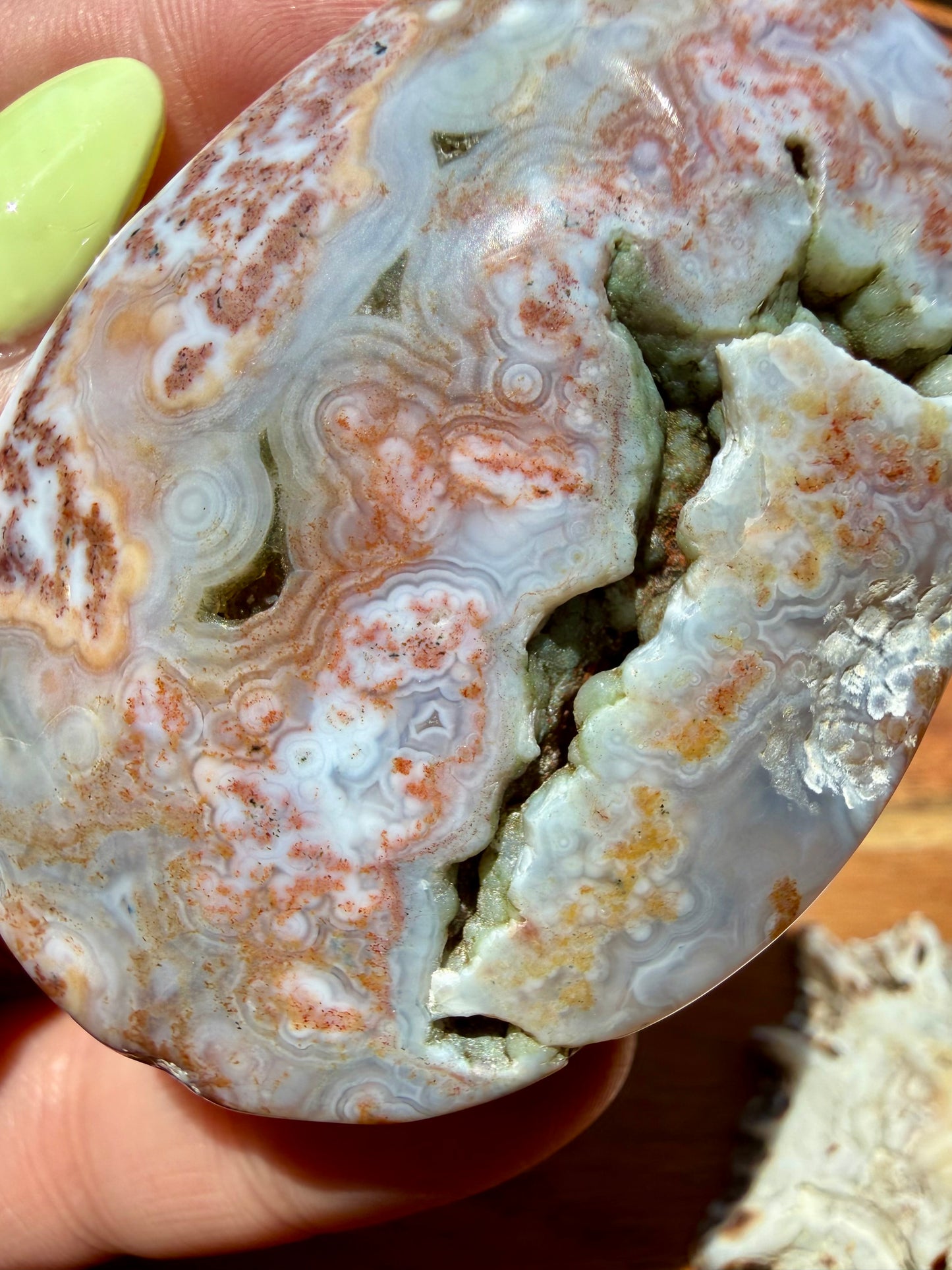 OLD STOCK OCEAN JASPER PALM STONE