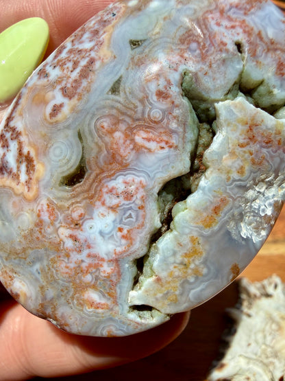 OLD STOCK OCEAN JASPER PALM STONE