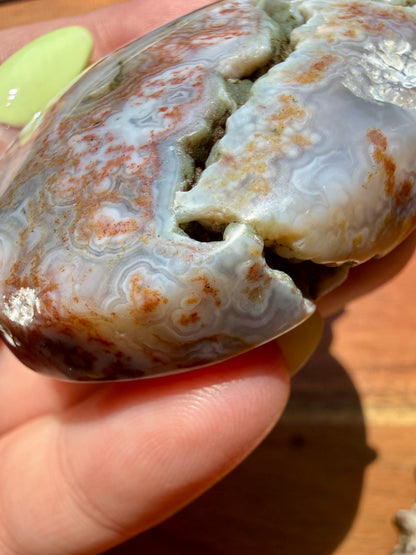 OLD STOCK OCEAN JASPER PALM STONE