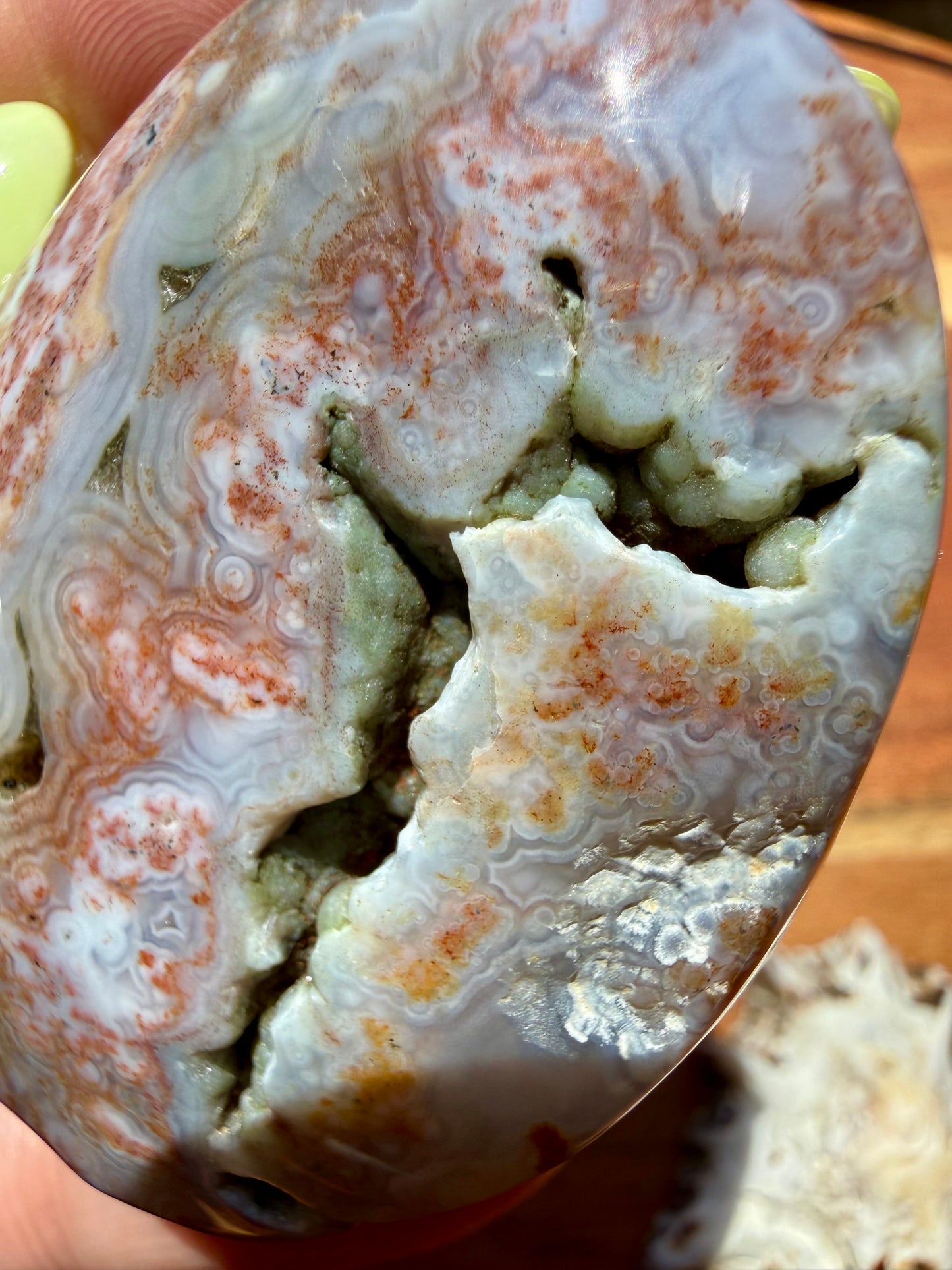 OLD STOCK OCEAN JASPER PALM STONE