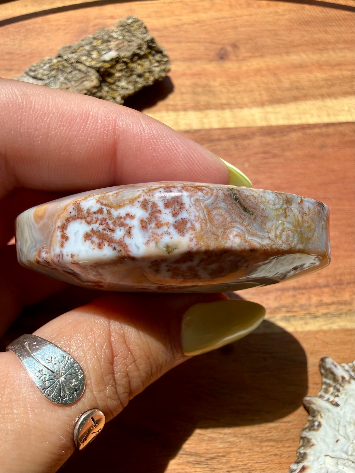 OLD STOCK OCEAN JASPER PALM STONE
