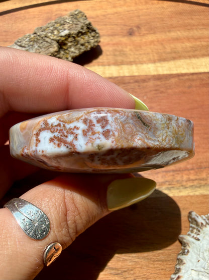 OLD STOCK OCEAN JASPER PALM STONE