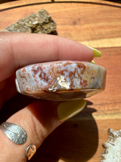 OLD STOCK OCEAN JASPER PALM STONE