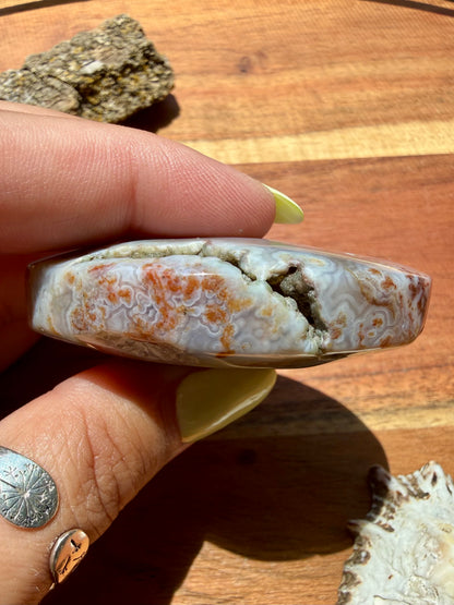 OLD STOCK OCEAN JASPER PALM STONE