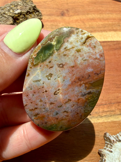 OLD STOCK OCEAN JASPER PALM STONE