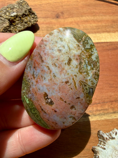 OLD STOCK OCEAN JASPER PALM STONE