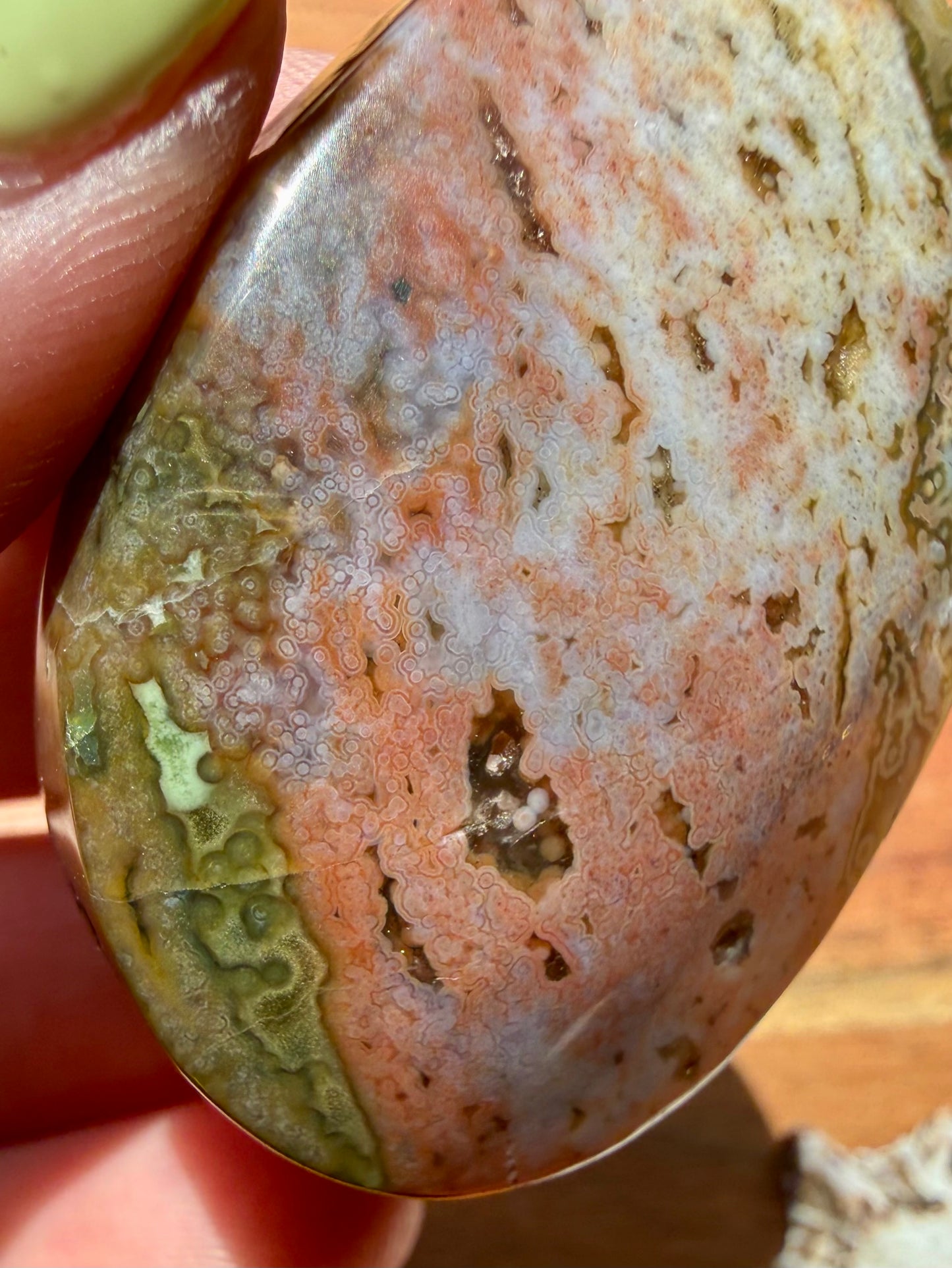 OLD STOCK OCEAN JASPER PALM STONE