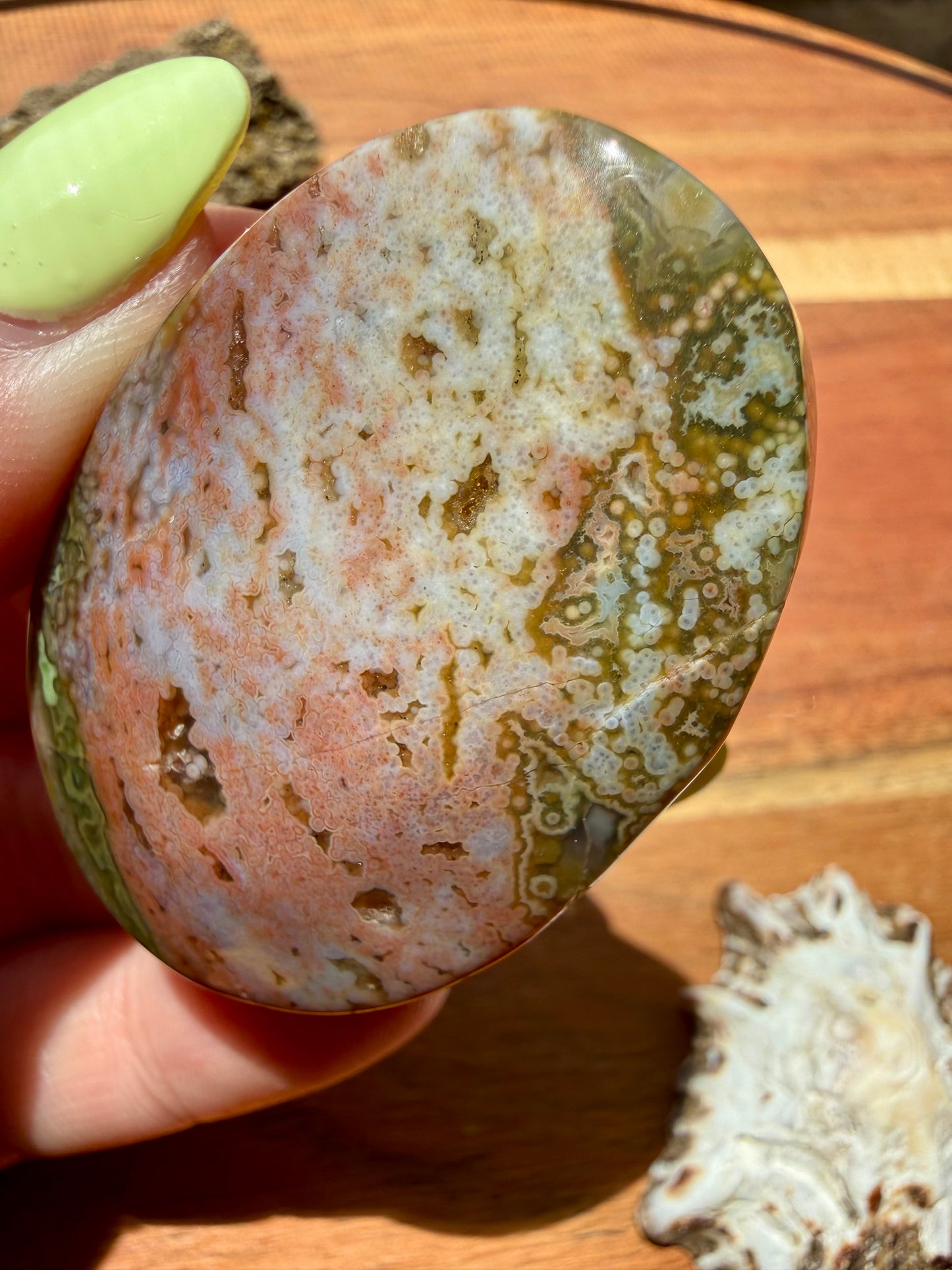 OLD STOCK OCEAN JASPER PALM STONE